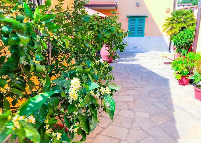 Cuore Di Nozzano Castello